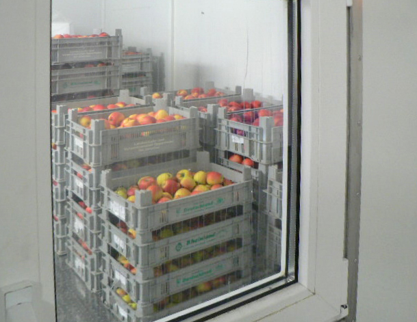 Blick durch die Scheibe in einen Raum zur Langzeitlagerung von Äpfeln unter kontrollierter Atmosphäre