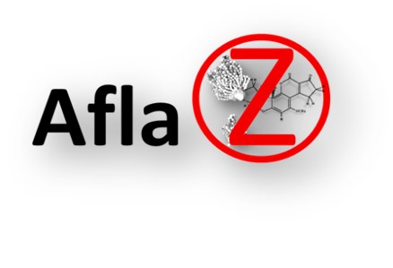 [Translate to English:] Logo AflaZ