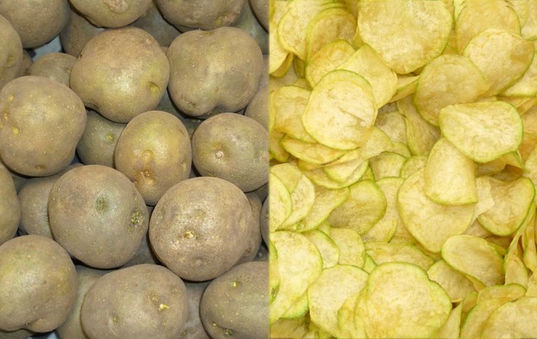 Durch Lichtexposition ergrünte Kartoffelknollen vor und nach dem Schälen sowie daraus hergestellte Kartoffelchips