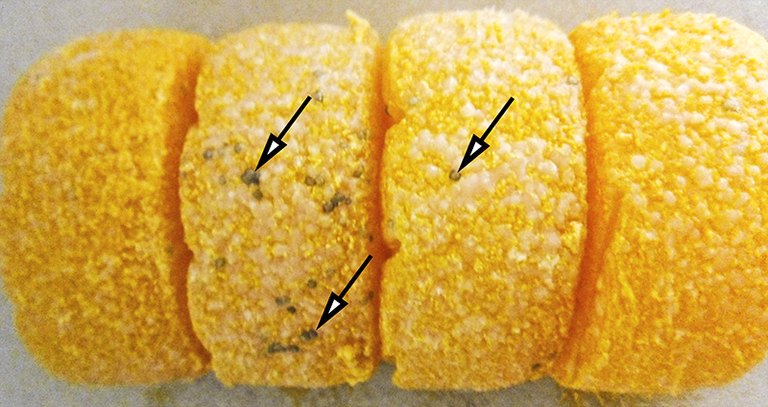 Käse