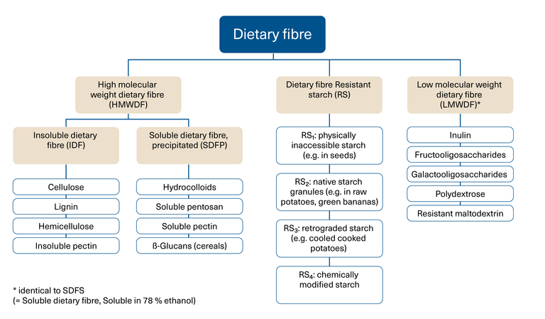 Infographic: Differentiation of dietary fibre according to molecular weight and solubility