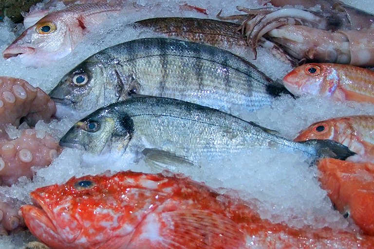 Unterschiedliche frische Fische auf Eis auf dem Fischmarkt