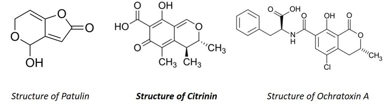 Molecule structures of patulin, citrinin and ochratoxin A