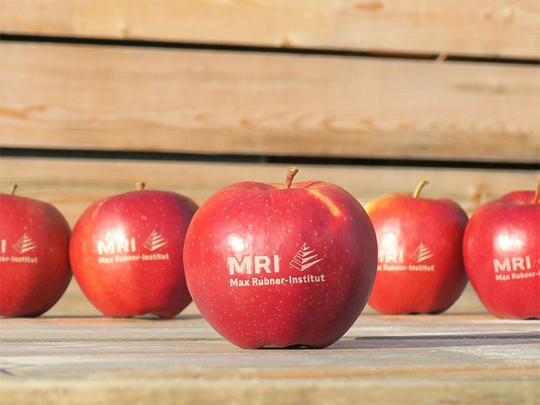 Holztisch mit fünf roten Äpfeln mit Laser-Labeling in Form des MRI-Logos vor einer Holzwand
