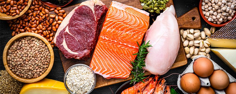 Vogelperspektive auf Tisch mit verschiedenen eiweißhaltigen Lebensmitteln wie zum Beispiel Fisch, Fleisch, Eier oder Hülsenfrüchte.