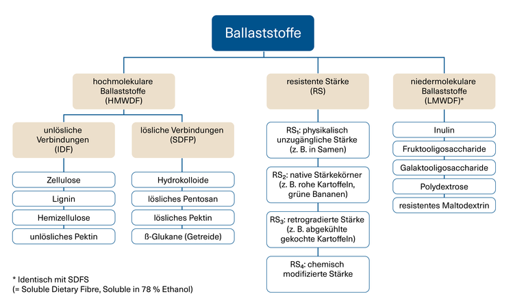 Diagramm: Differenzierung der Ballaststoffe nach Molekulargewicht und Löslichkeit