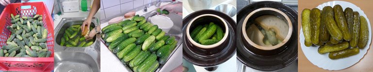 Production of fermented salt cucumbers